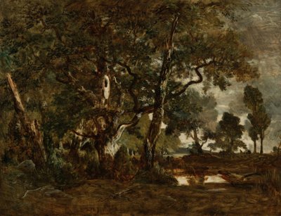 Foresta di Fontainebleau, gruppo di alberi alti che dominano la pianura di Clair-Bois al margine di Ba... da Pierre Etienne Theodore Rousseau